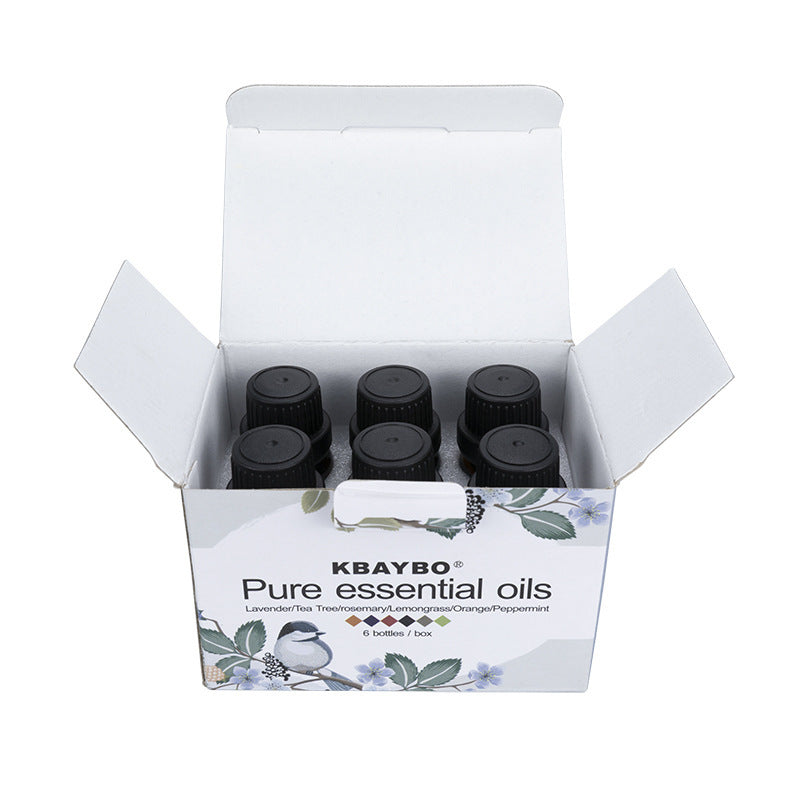 The Everyday Wellness Essential Oils Kit